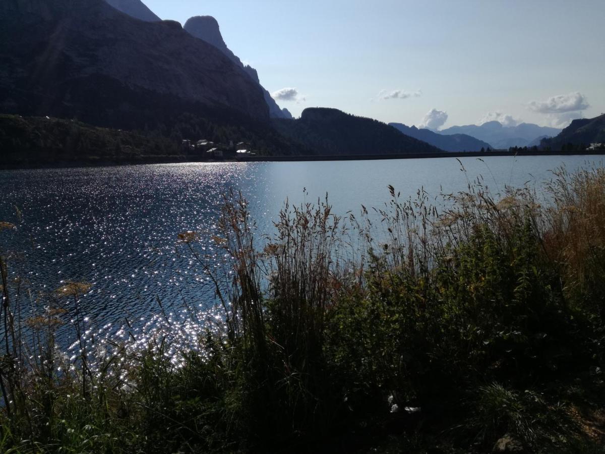Garni Sayonara Hotel Moena Bagian luar foto